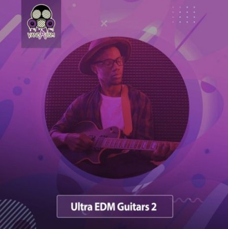 Vandalism Ultra EDM Guitars 2