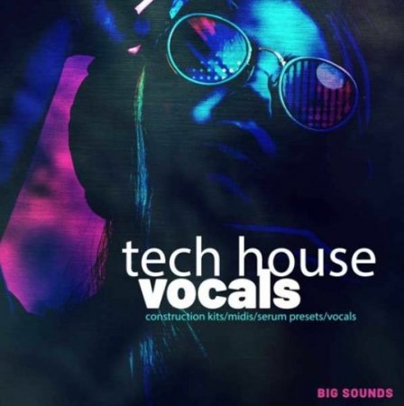 Big Sounds Tech House Vocals