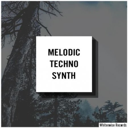 Whitenoise Records Melodic Techno Synth