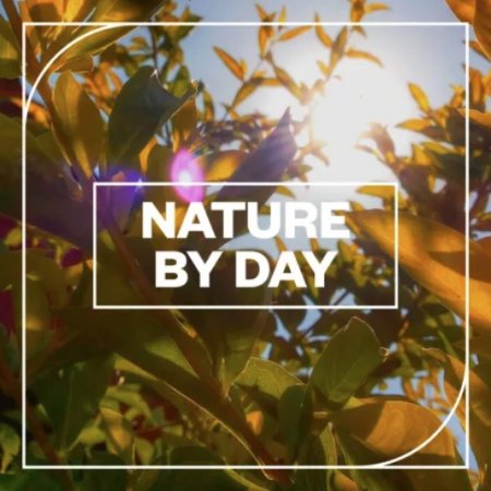 Blastwave FX Nature by Day
