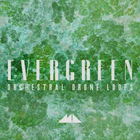 ModeAudio Evergreen - Orchestral Drone Loops