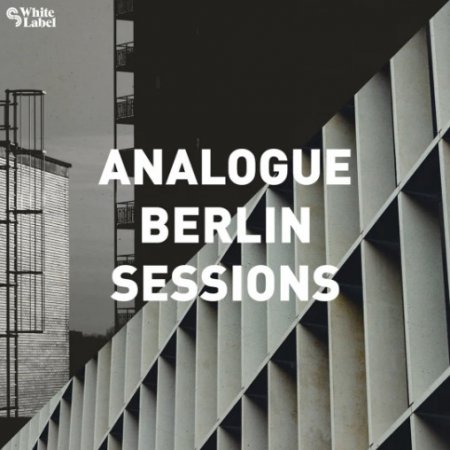 Sample Magic Analogue Berlin Sessions