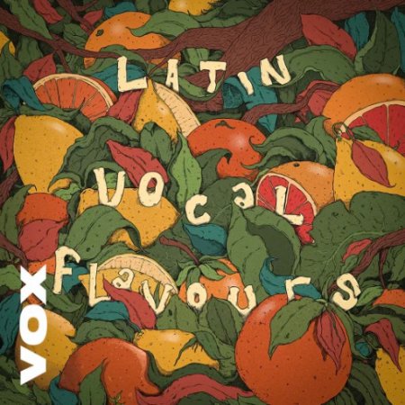 VOX Latin Vocal Flavours